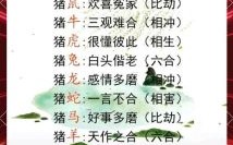 中观猪同甘共苦是什么生肖？中观猪同甘共苦最正确答案
