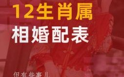 分红是什么生肖？粉红女郎打一准确生肖