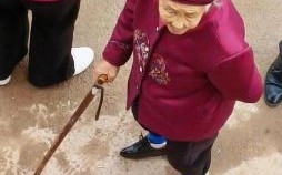 小脚女人是什么生肖？小脚女人打一准确动物