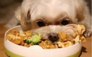 狼吞虎咽是什么生肖？狼吞虎咽打一正确答案