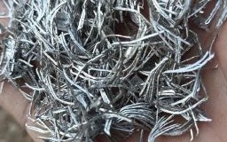 镁是什么生肖？镁代表什么动物