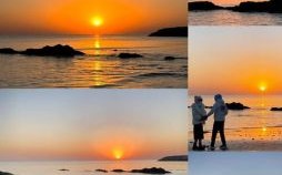 看日出是什么生肖？欲钱看日出最佳一肖