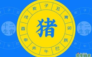 二字经票据是什么生肖？二字经解生肖