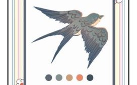 小燕子是什么生肖？燕子暗示什么生肖