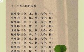 2026年十二生肖运程全解析：哪些属相将迎来事业腾飞与桃花朵朵？如何规避太岁影响并把握财富机遇？