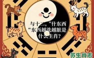 什么东西越洗越脏是什么生肖？什么东西越洗越多啊