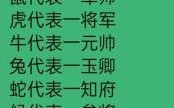适是什么生肖？適代表什么生肖