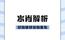 3代表生肖是什么生肖？水肖是什么生肖
