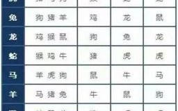 马死牛伤是什么生肖？当牛做马猜一个生肖