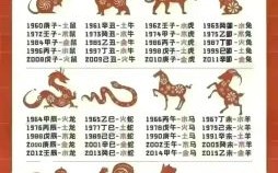 20岁的生肖是什么？男人20岁是什么之年