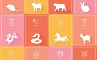 无来是什么生肖？无光生肖打一肖