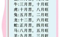 这个月是什么月生肖？6月是什么生肖月