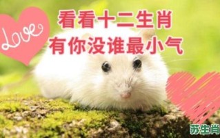 小气的动物是什么生肖？12生肖哪个最小气