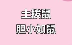 风吹草动是什么生肖？风吹草动打一准确生肖