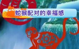 猴左蛇右是什么生肖？猴左蛇右最正确生肖