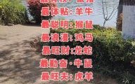 威武逞英雄是什么生肖？2019年是什么生肖