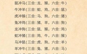 小小的生肖反义是什么？义属于什么生肖