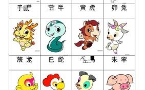 二二二四是什么生肖？二二二四代表生肖