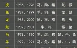 2016生肖是什么生肖？19年是什么生肖