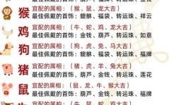 红绿满园春是什么生肖？满园春指什么生肖