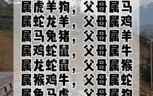 家门是什么生肖？家门打一准确动物