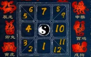 数学是什么生肖？直代表什么数字