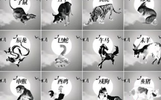 多样的动物是什么生肖？丰富多彩猜一生肖