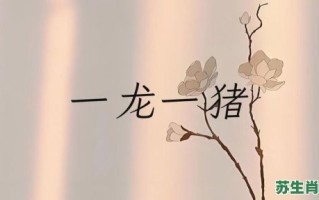 壹龙壹猪是什么生肖？一龙一猪指什么生肖