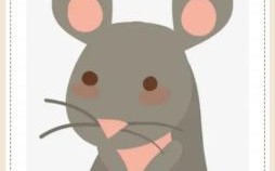 小生肖动物是什么？娇小玲珑的动物是什么生肖