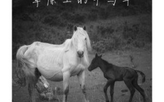 大地舂歌是什么生肖？大地草原牛马欢是什么生肖?