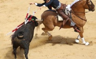 队伍庞大是什么生肖？好庞大的队伍啥意思