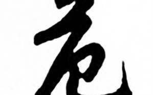 危字是什么生肖？危最佳生肖是什么