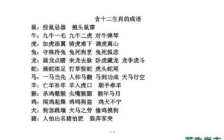 空留纸上声是什么生肖？投鼠忌器空空会是什么生肖