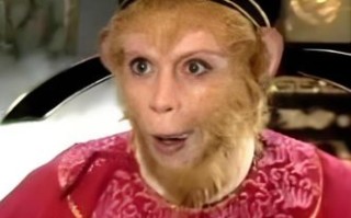 漫道天庭曾弼马是什么生肖？弼马温打一准确生肖