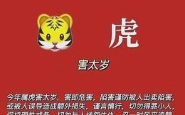 3岁生肖是什么？3岁属什么生肖2025