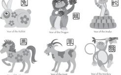 孤字是什么生肖？孤打一肖是什么动物