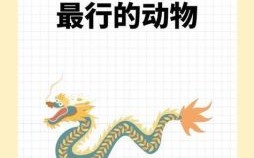 返是什么生肖？返打一个生肖