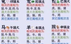 相生相克是什么生肖？相生相克准确打一动物