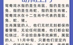 鸳鸯是什么生肖？鸳鸯打一准确生肖