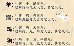 徒劳无功是什么生肖？徒劳无功正确答案一肖