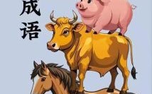 心大的生肖是什么？心大的动物是什么