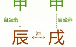 戌是什么生肖？戌打一准确生肖