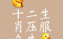 头头是道是什么生肖？头头是道打一准确动物