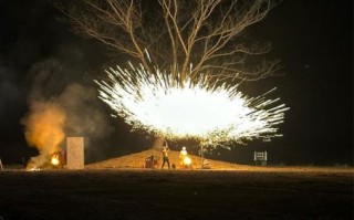 铁树银花是什么生肖？铁树指什么生肖