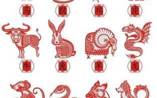 胸无点墨是什么生肖？胸无点墨最佳答案一肖