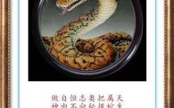 英雄有泪是什么生肖？英雄的动物打一个生肖