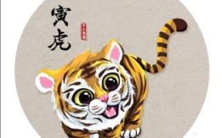 有点盲目的是什么生肖？盲目指什么生肖