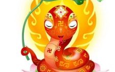 莲花小姐是什么生肖？莲花是指哪个生肖