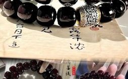 菩提是什么生肖？蝉适合什么属相的人