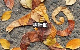 绿叶是什么生肖？家中绿叶打一准确生肖